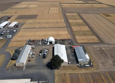 Aerial view of the dryland research plots at the Columbia Basin Agricultural Research Center near Pendleton.  Credit: Paulina B. Ramírez