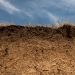 soil profile