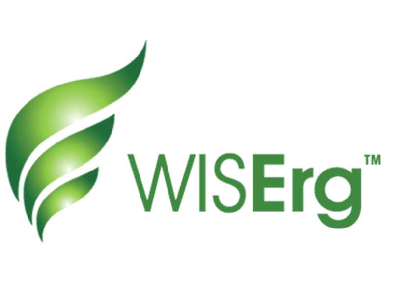WISErg logo