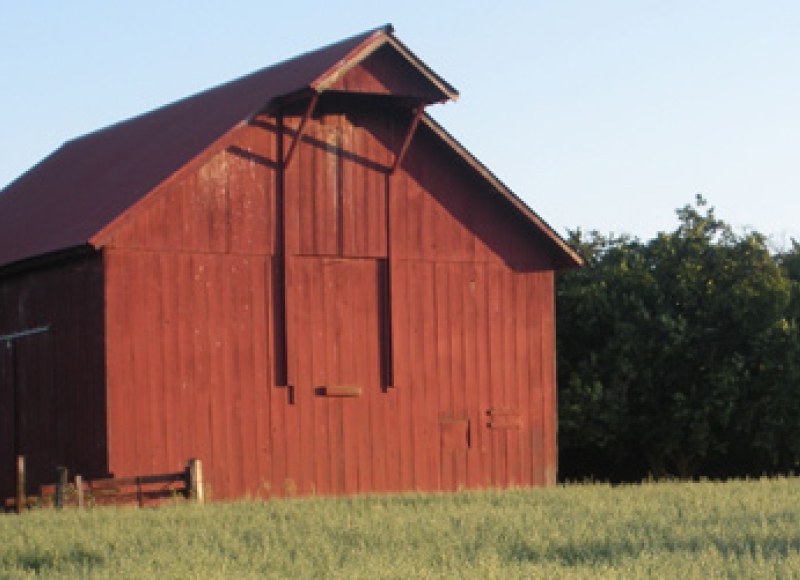 Red barn in a field