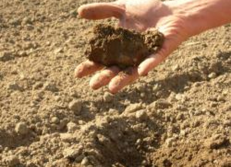 Soil moisture at planting time on May 14, 2014. Photo by Amy Garrett.